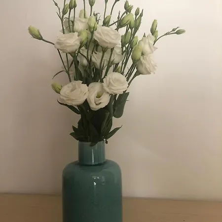 Lamanna House Pensionat