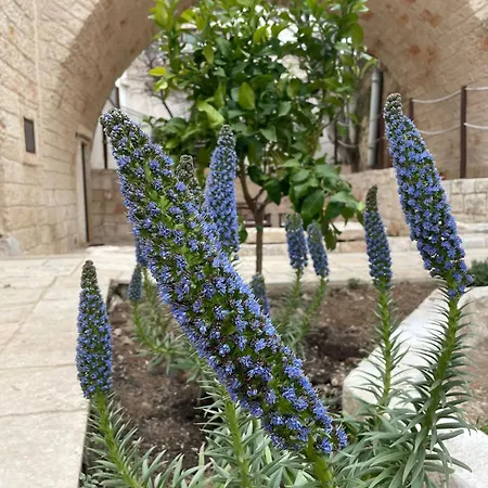 Lamanna House פולינאנו א מארה