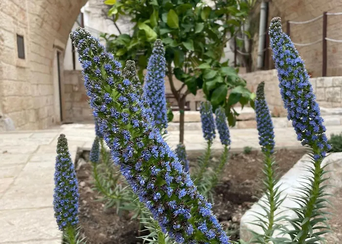 Lamanna House פולינאנו א מארה
